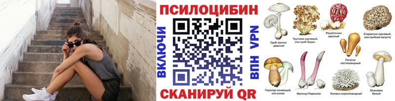 Псилоцибиновые грибы Psilocybine cubensis Кологрив