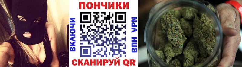Бошки Шишки конопля  сколько стоит  Кологрив 